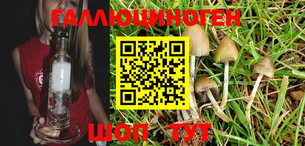 Саки  Псилоцибиновые грибы Magic Shrooms  Вход с VPN 